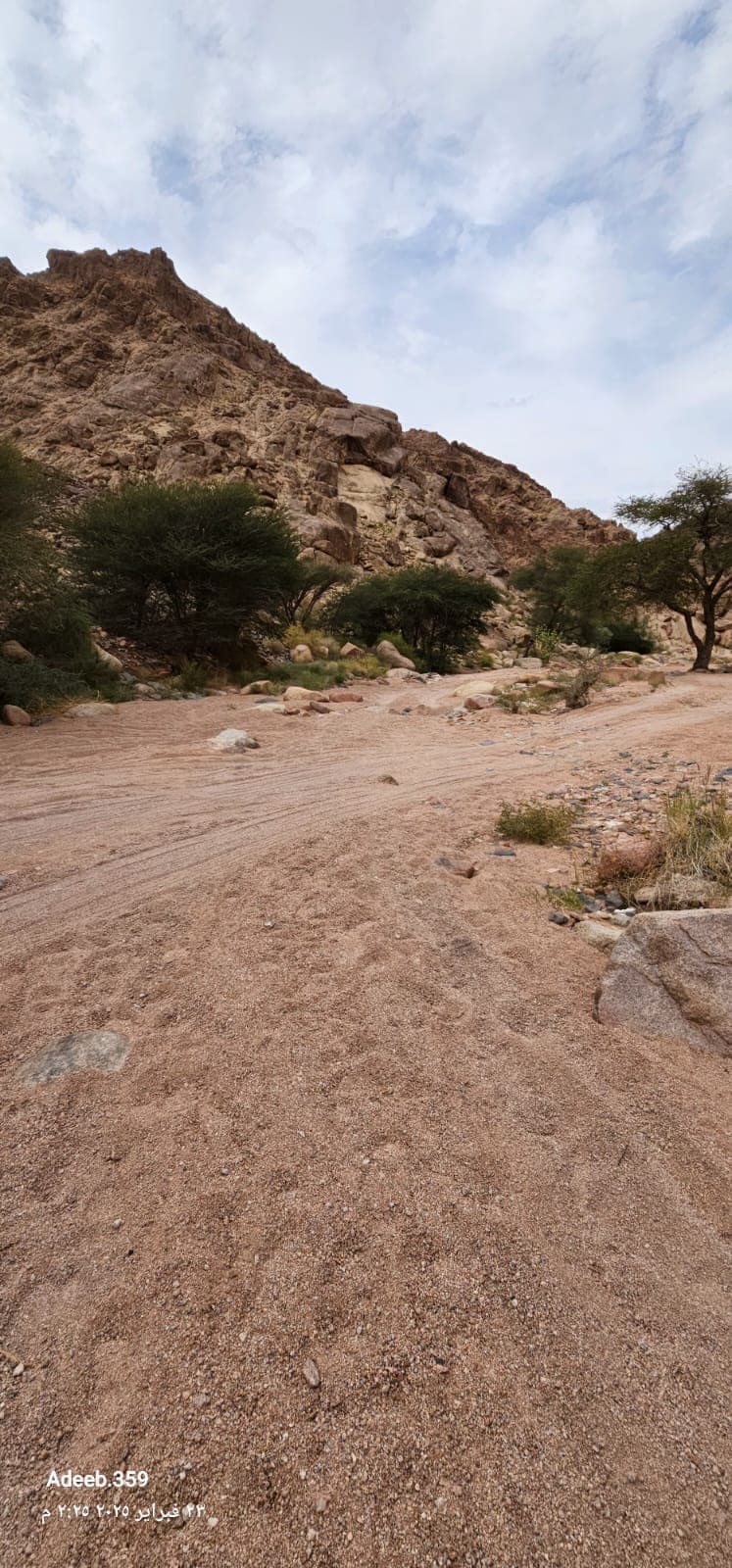 Randonnée dans le parc naturel de Medina