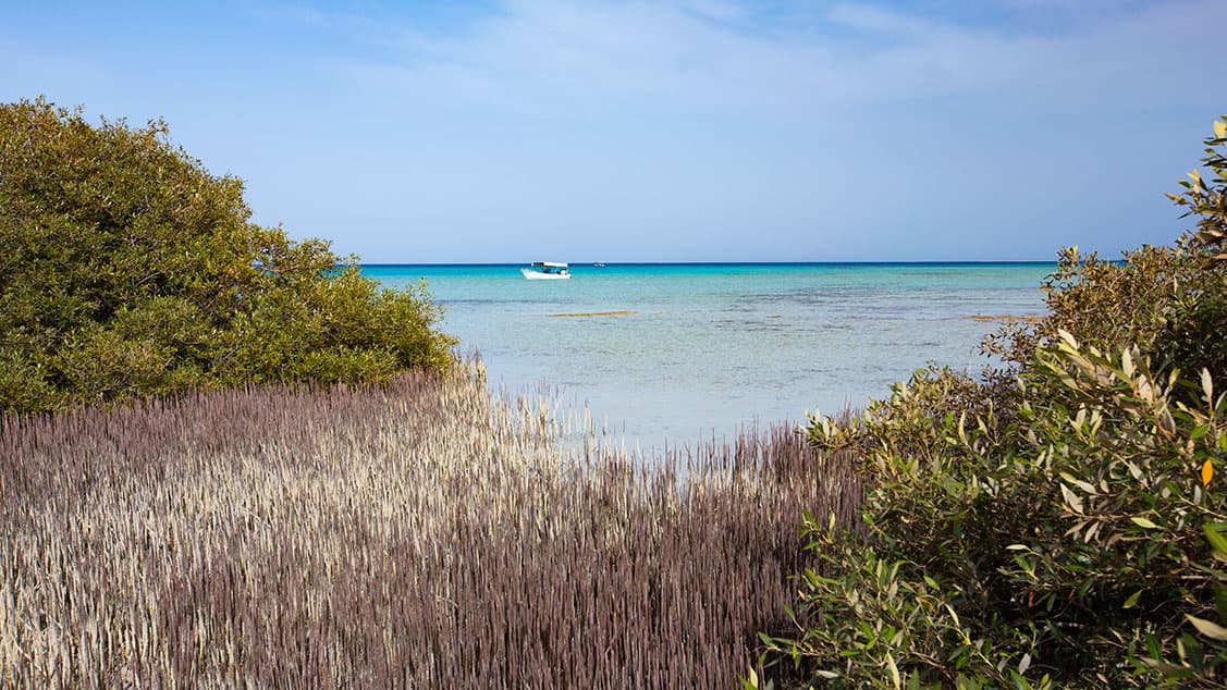 Excursion aux îles Farasan à Jazan
