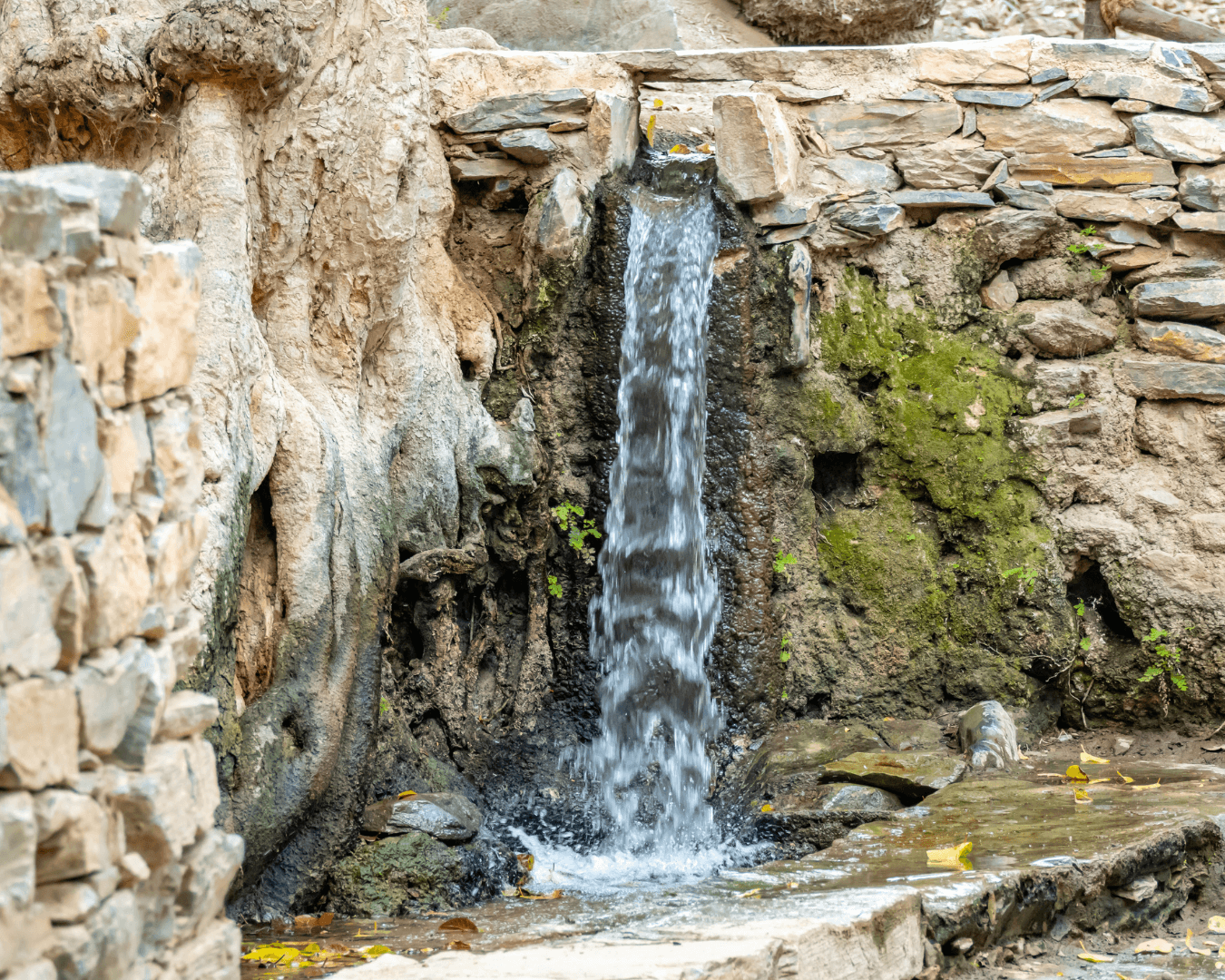 Une excursion au village patrimonial de Dhi Ain