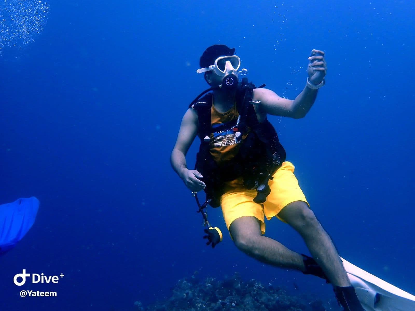 Plongée exploratoire avec un instructeur professionnel et expérience de photographie sous-marine