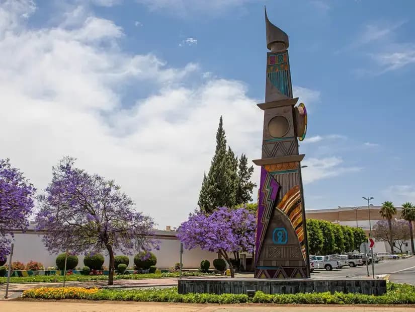 Vivez la saison des jacarandas à Abha – Le circuit enchanteur des violettes