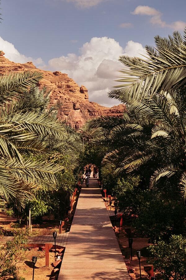 Une visite du sentier des oasis patrimoniales d'Al-Ula