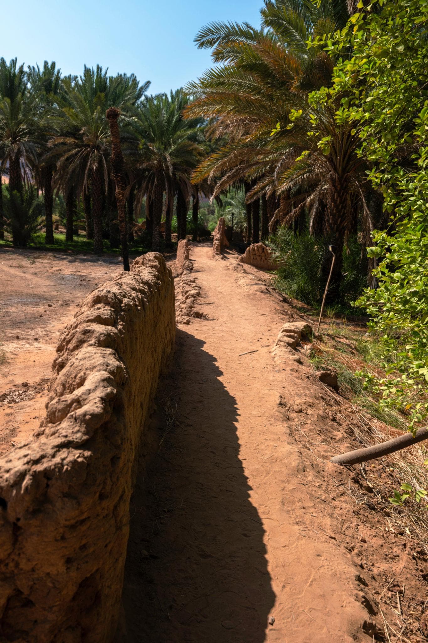 Une visite du sentier des oasis patrimoniales d'Al-Ula