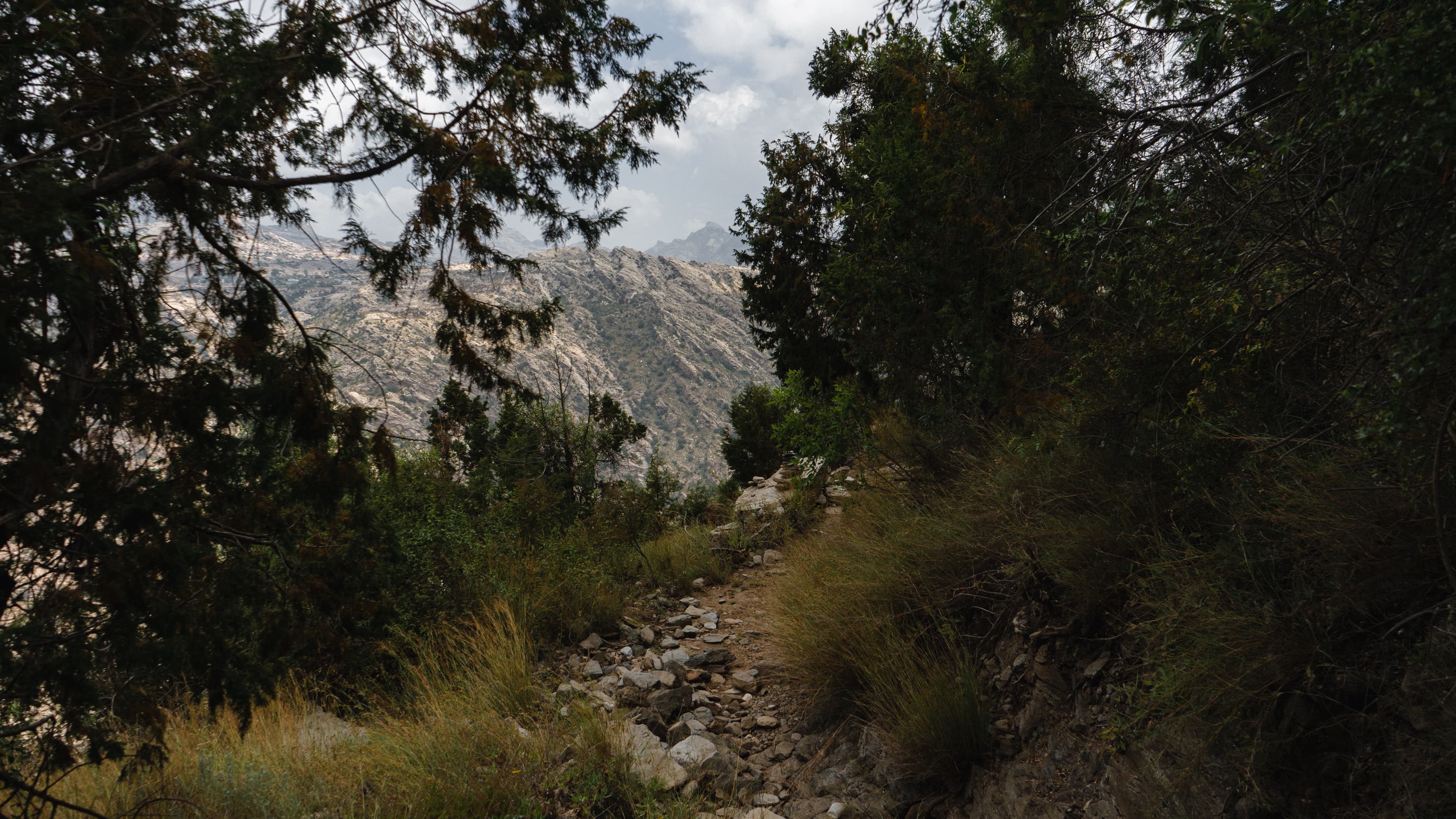 Sentier de la crête de la montagne | Tanomah