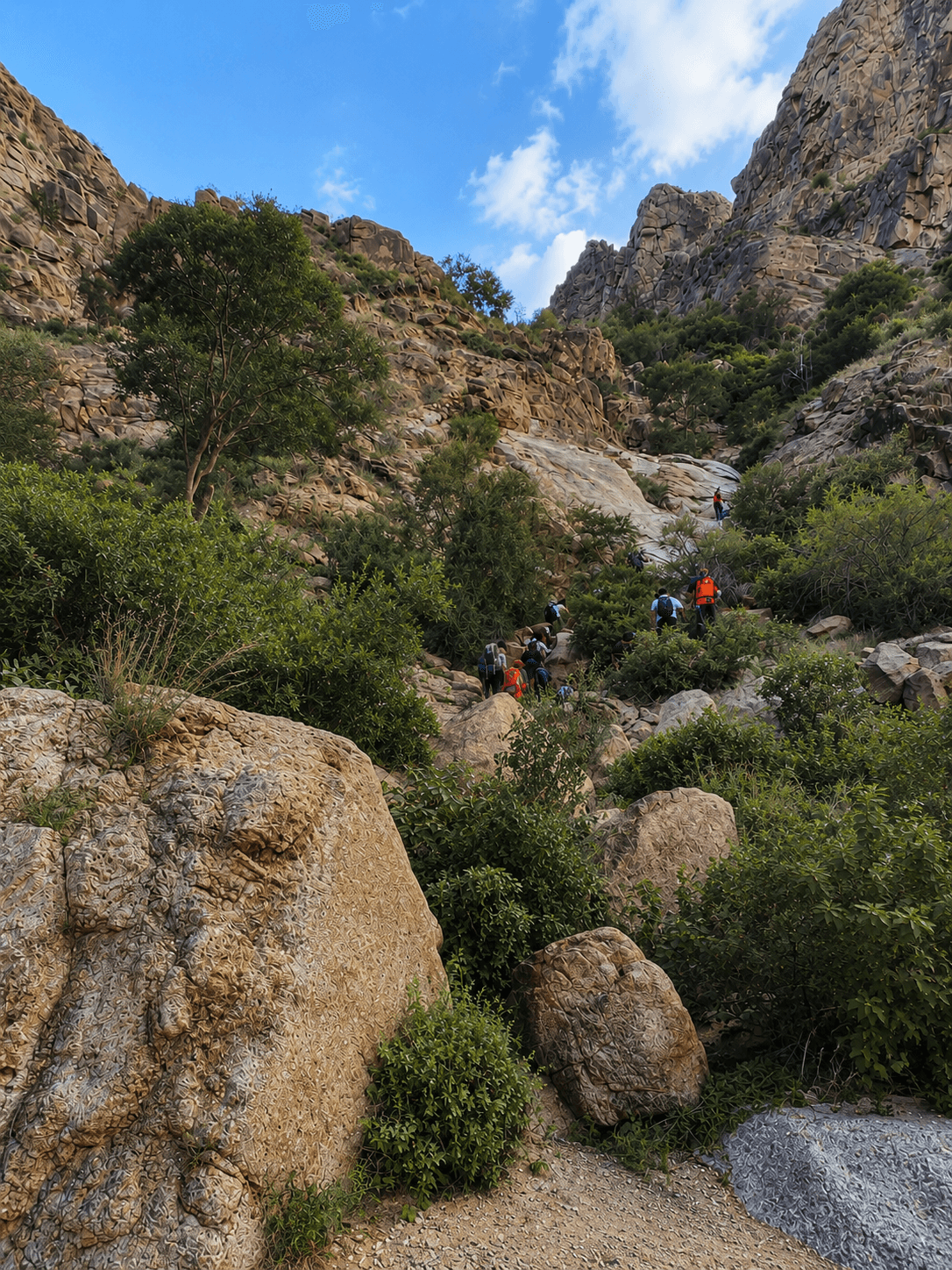 Randonnée dans le Wadi Noman
