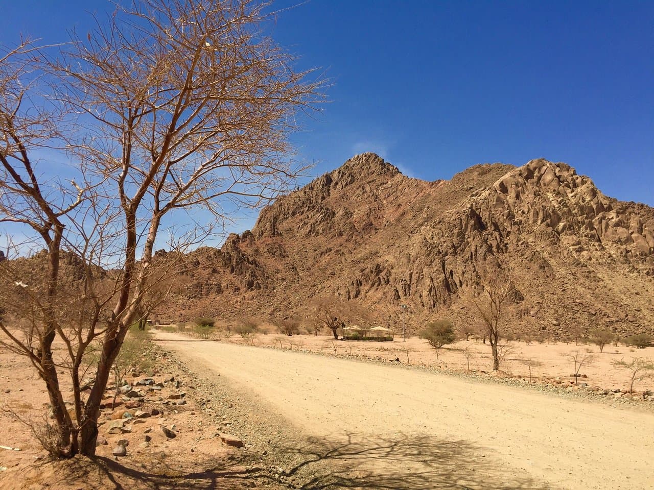 Randonnée dans le parc naturel de Medina