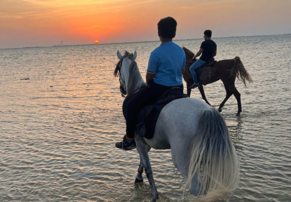 Promenades à cheval à Al-Khobar