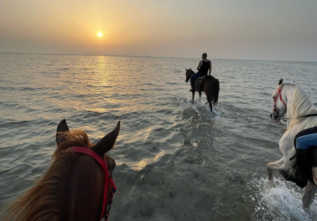 Promenades à cheval à Al-Khobar