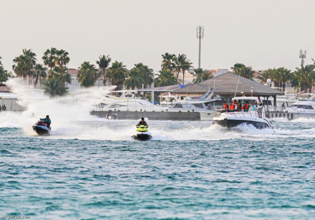 Diverses activités nautiques à Half Moon Beach