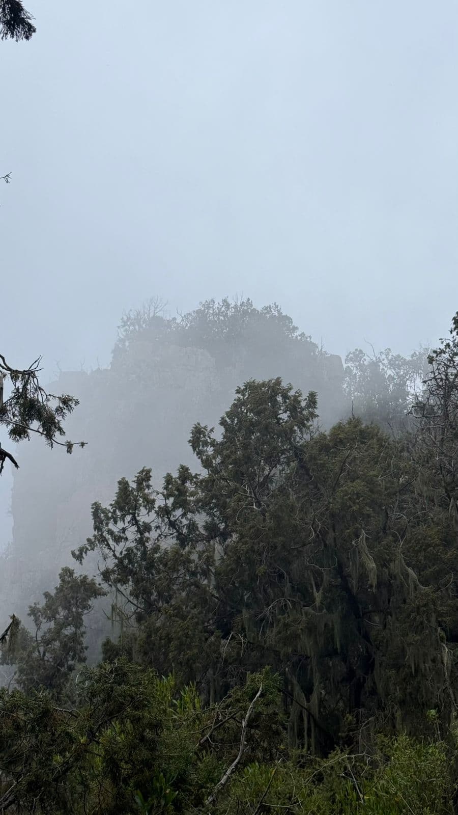 Randonnée et détente en montagne à Al-Soudah, au cœur de la beauté naturelle d'Asir 🏔️