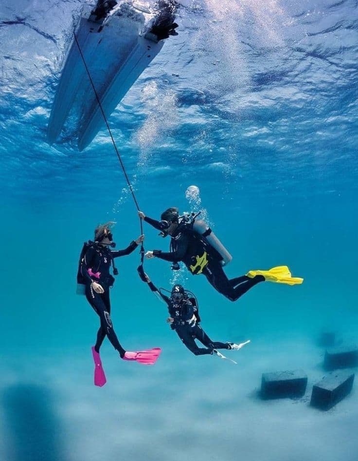Plongée exploratoire avec un instructeur professionnel et expérience de photographie sous-marine
