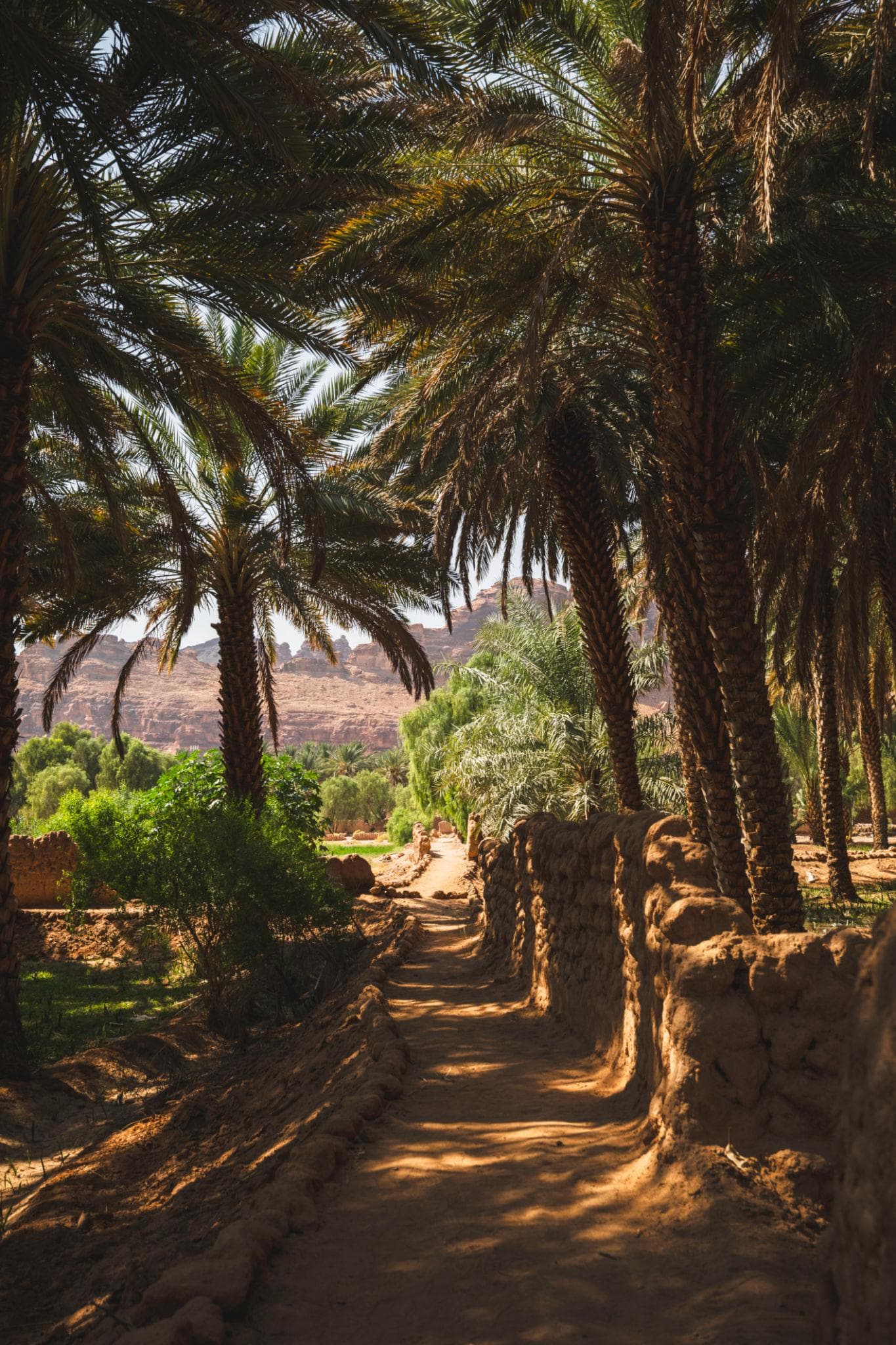 Billet pour le sentier Heritage Oasis – Une personne