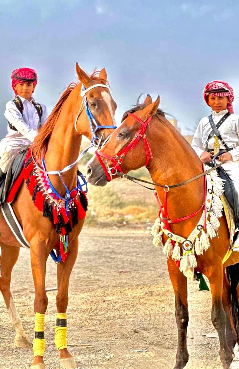 catégorie équitation – expérience individuelle